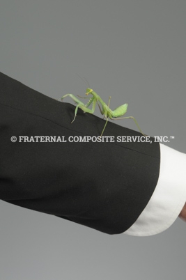 Mantis-Sendy_1592@
