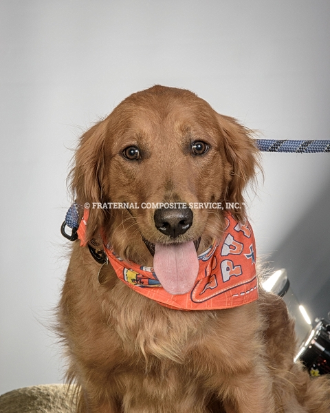 Oakley-_0792